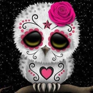 Meet your Posher, Wendy